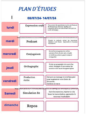 Curso Dominando o francês -  Do zero ao nível B2 (CLB7) é bom vale a pena